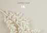 design modern instagram posts, social media posts, resume and canva graphics